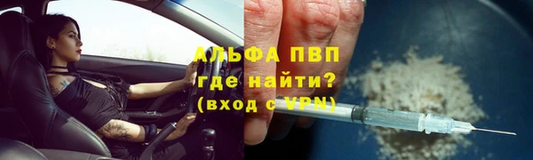 прущие грибы Иннополис