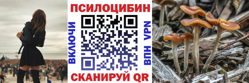 kraken сайт Отрадный Псилоцибиновые грибы мицелий закладка