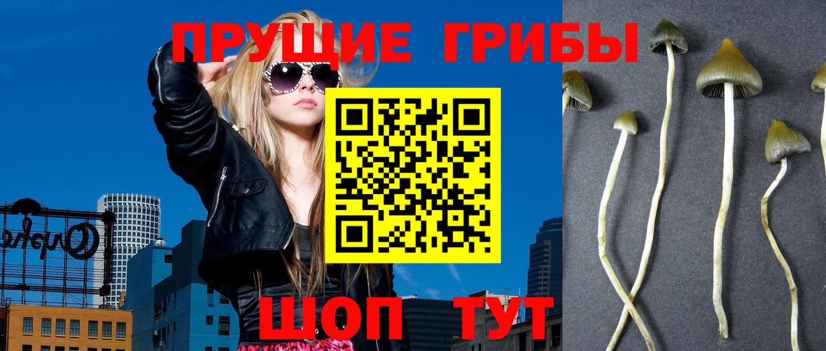 Галлюциногенные грибы прущие грибы Отрадный
