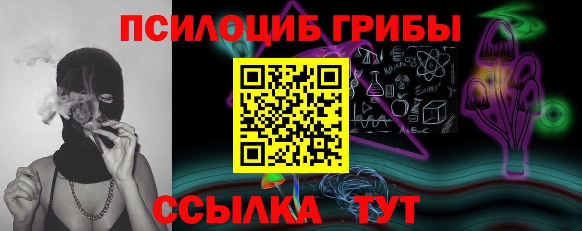 Галлюциногенные грибы ЛСД  Вход с VPN  Отрадный  Галлюциногенные грибы Psilocybine cubensis 